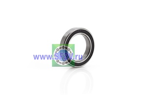 1000805 2RS (61805 2RS) ZNL