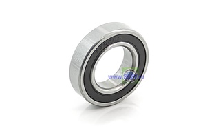 1000904 2RS (61904 2RS) ZNL