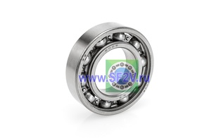 SS 6005 FAG