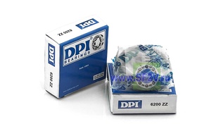 80200 (6200 ZZ) DPI