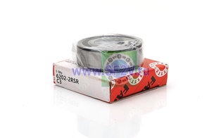 6202 2RSRC3 FAG