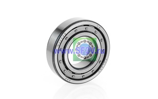 Подшипник 42206 (NJ 206E) CX