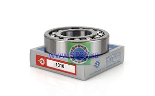 1310 ZNL