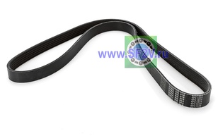 Ремень приводной 6PK 1305 BANDO