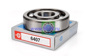 407 (6407) ZNL