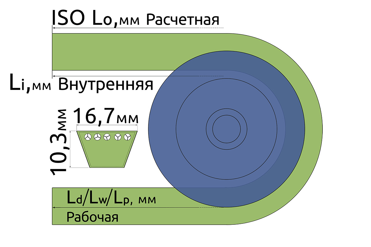 клиновой B