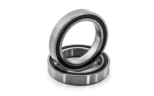 Подшипник 1000806 2RS (61806 2RS) CX