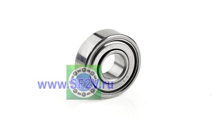 F 696 ZZ1/1K NTN