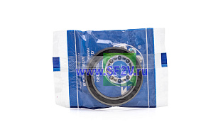 1000806 2RS (61806 2RS) ZNL