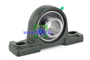 UCP 309 FKD
