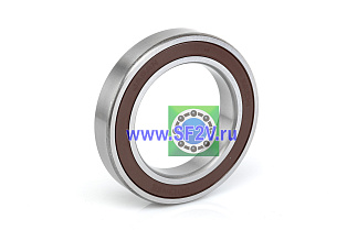 6013 2RSCM (2NSECM) NACHI