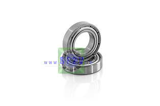 1000801 ZZ (61801 ZZ) ZNL