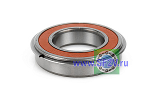 6007 2RSNR (2NSE9NR) NACHI