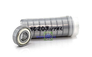 80203 (6203 ZZ) NTRL