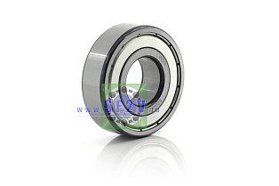 80204 (6204 ZZ) ZNL