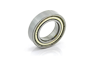 1000801 ZZ (61801 ZZ) DPI