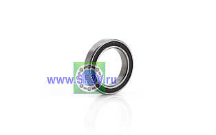 1000805 2RS (61805 2RS) ZNL