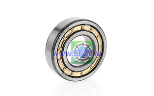 42206 Л (NJ 206EM) CX