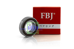 6006 2RS C3 FBJ
