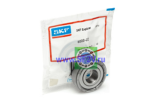 6000 ZZ SKF