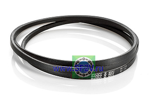 M (Z) 79 2003-Ld (JP) BANDO