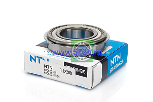 6006 ZZNR/5K (T) NTN