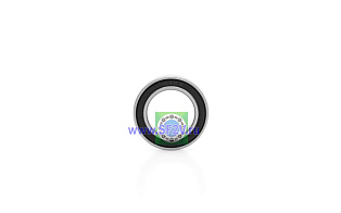 1000802 2RS (61802 2RS) ZNL