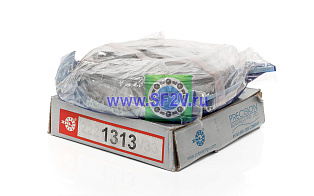 1313 ZNL