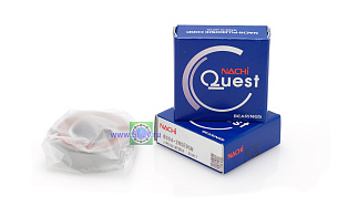 6004 2RS (2NSE9) NACHI