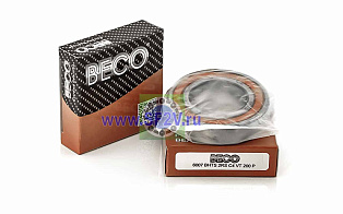6007 BHTS 2RSC4 VT 200 C° BECO