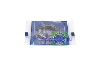 1000805 ZZ (61805 ZZ) ZNL