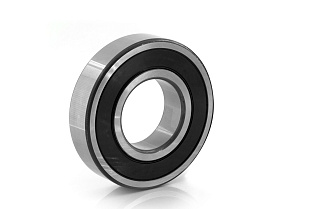 6313 2RS1 SKF