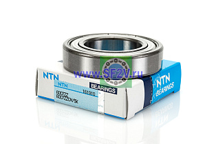 6007 ZZCM/5K NTN