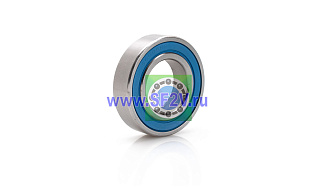 6005 BSS 2RS BECO