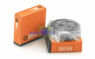 180304 (6304 2RS) CRAFT