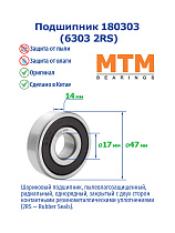 180303 (6303 2RS) MTM