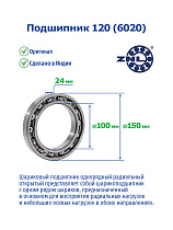 120 (6020) ZNL