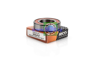 6005 BHTS 2RSC4 VT 200 C° BECO