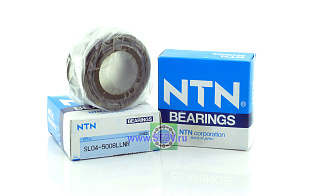 SL04 5008 LLNR NTN