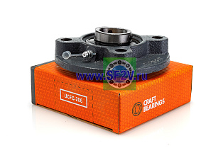 UCFC 206 CRAFT