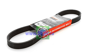 6PK 800 BANDO