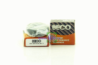 6001 BHTS ZZ 280 C° BECO