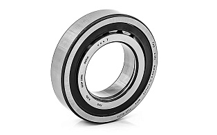 NUP 209 EXLTVP2C3 FAG