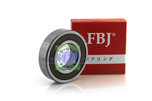 6206 2RS FBJ