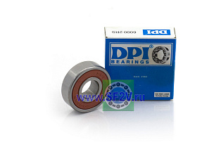 180100 (6000 2RS) DPI
