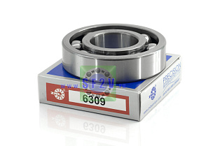 309 (6309) ZNL