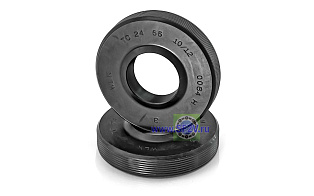 TGY 24x 55x 10/12 WLK