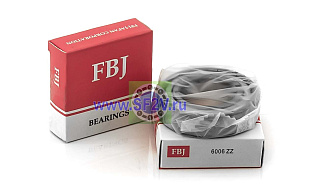 6006 ZZ FBJ