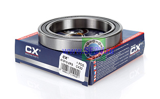 1000913 2RS (61913 2RS) CX