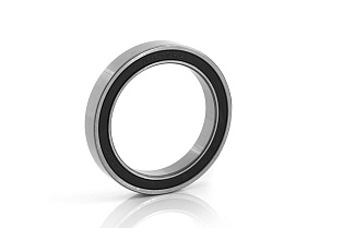 1000805 2RS ( 61805/6805 2RS )